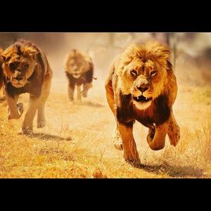 Meet your Posher, Zena